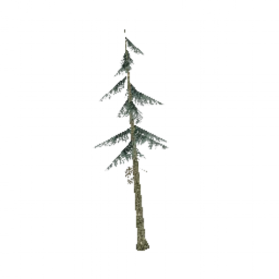 Ёлка - №34671