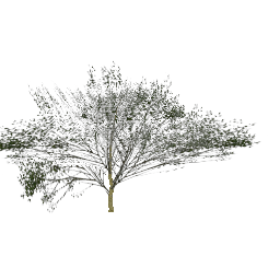 Небольшое дерево#3 (объект) - №32284