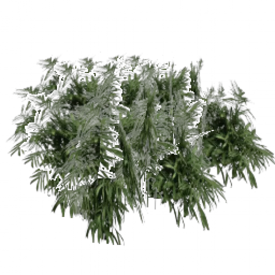 Большой Куст#1 - №75657