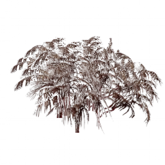 Большой Куст#2 (объект) - №32272