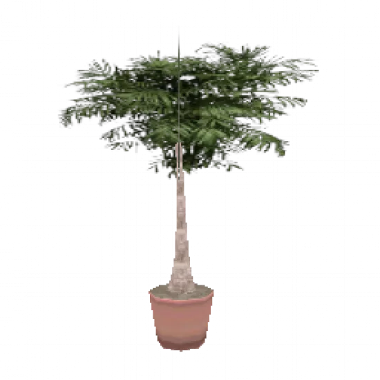 Цветок в горшке 7 - №75858