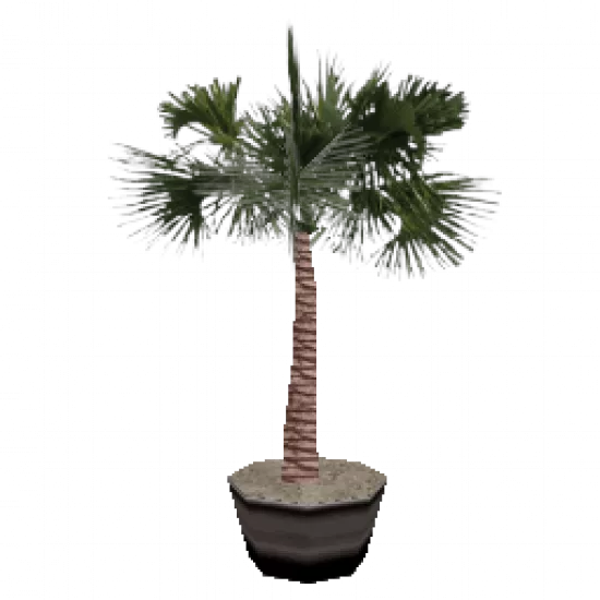 Цветок в горшке 8 (объект) - №34331