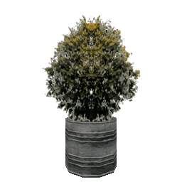 Растение в горшке 1 - №75556