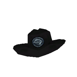 Шляпа (полицейская) - №75871
