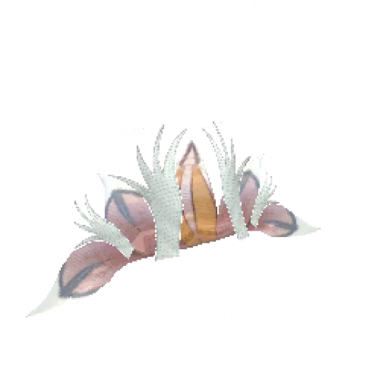 Красный воротник - №34972