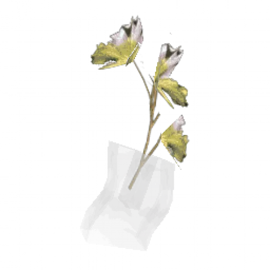 Цветок - №34360