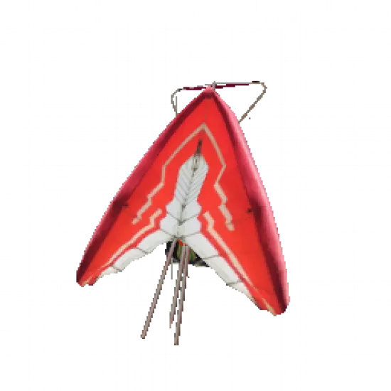 Дельтаплан на спину - №34523