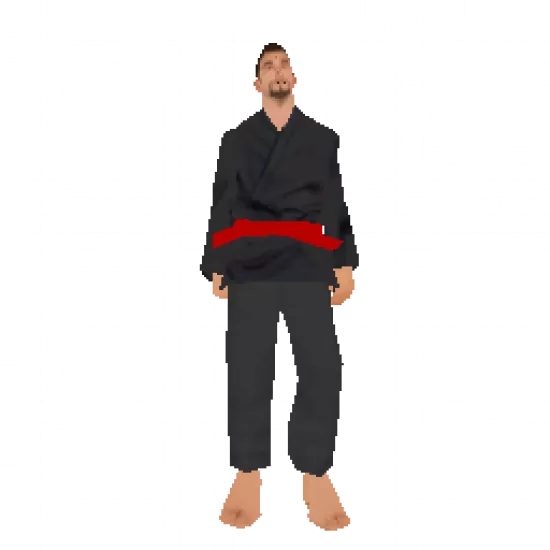 Скин: Karate Teacher (ID: 204) - №75703