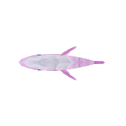 Розовая акула - №34237
