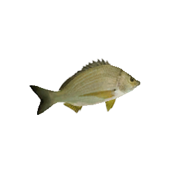 Рыба - №73371