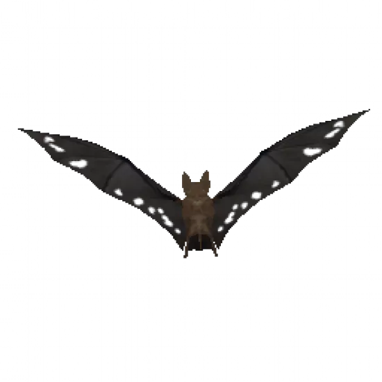 Летучая мышь - №31962