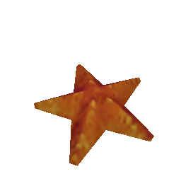 Морская звезда на спине - №34432