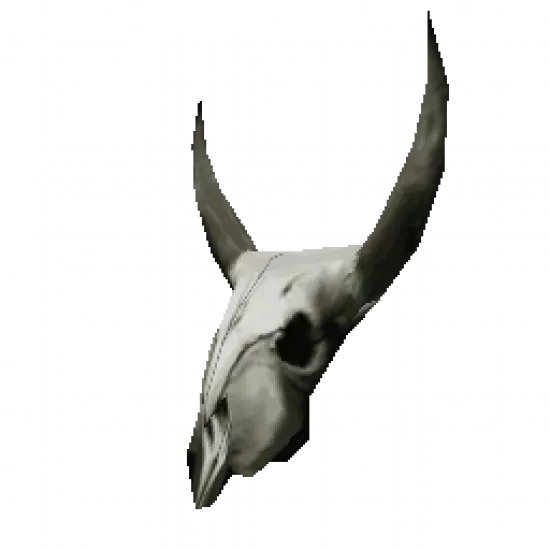 Череп животного - №32982