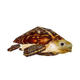 Черепаха на спину - №33548