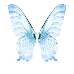 Крылья бабочки - №73227