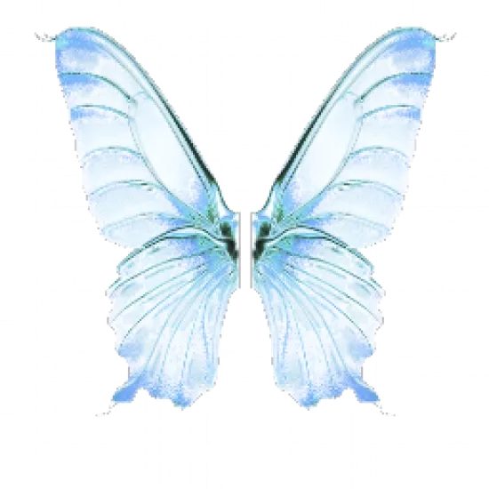 Крылья бабочки - №73227