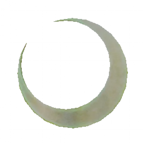 Полумесяц на спину - №31907