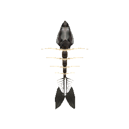 Скелет рыбы на спину - №31666