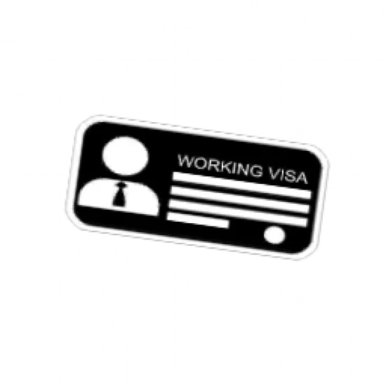 Вечная рабочая виза - №31447