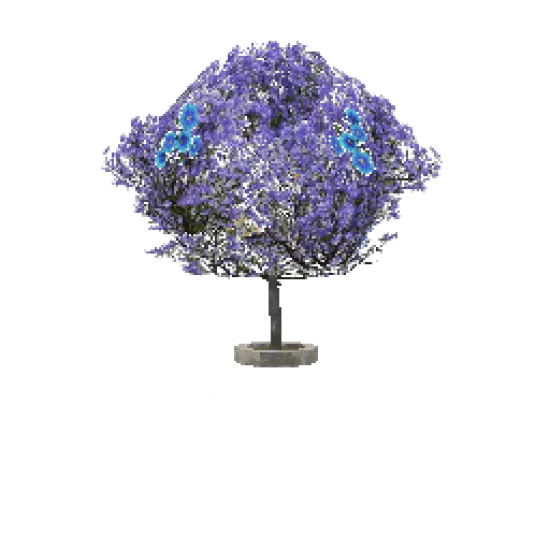 Объект: Фиалковое дерево - №31467