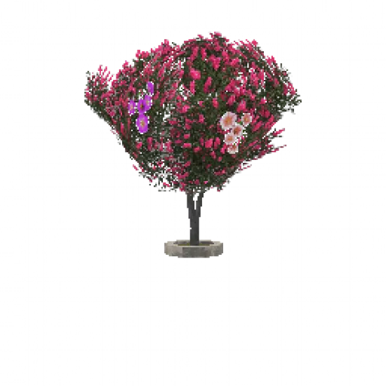 Объект: Розовый Гуаякан - №31518