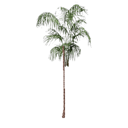 Большая декоративная пальма - №68491