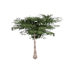 Маленькая декоративная пальма - №67894