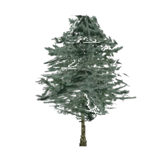 Хвойное дерево - №67930