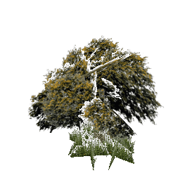 Пышное зеленое дерево - №68007