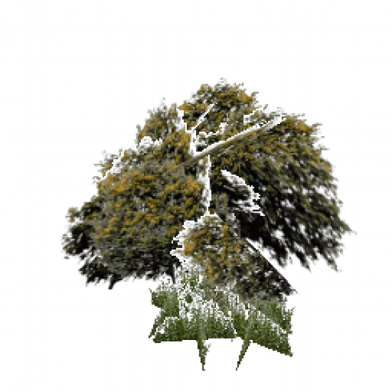 Пышное зеленое дерево - №68007