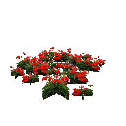 Красные цветы - №68404