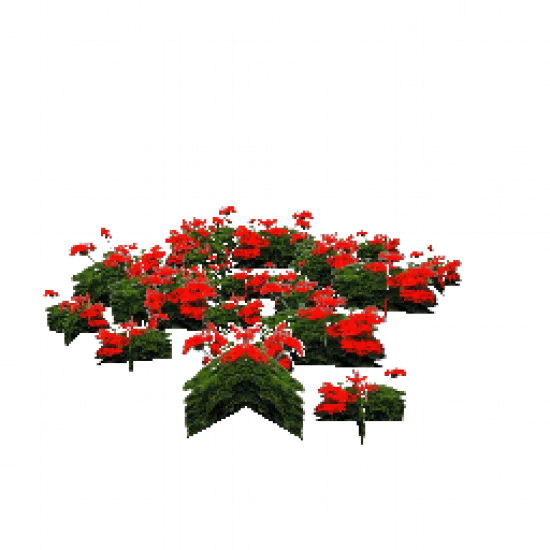 Красные цветы - №68404