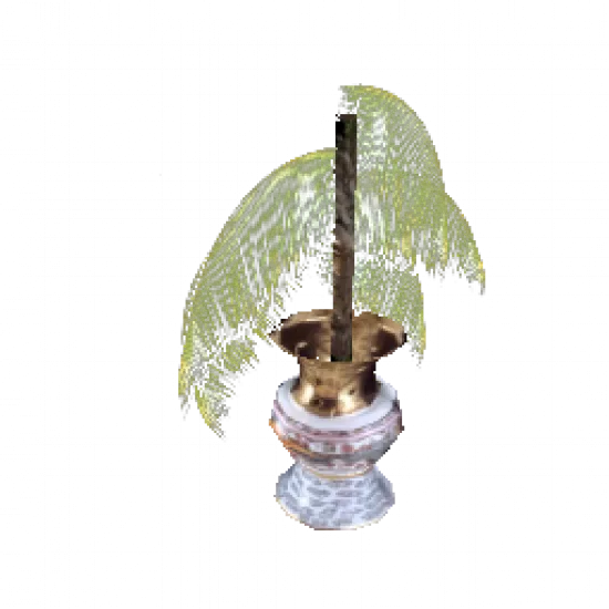 Пальма в горшке - №67918