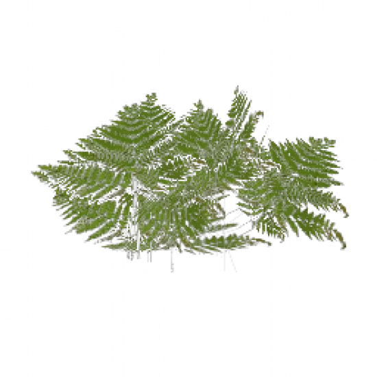 Большой куст (2) - №68509