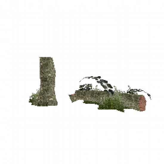 Коряга (1) - №68296