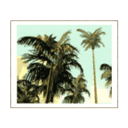 Большая картина с пальмами - №68317