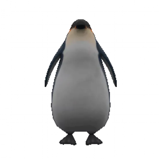 Объект: Пингвин - №72893