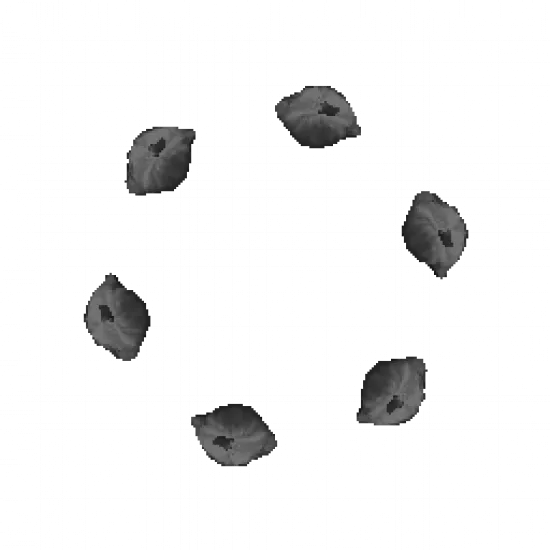 Мусорный нимб - №80197