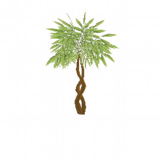 Объект: Тропическое дерево - №80196