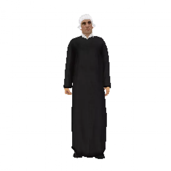 Скин: Судья (ID: 870) - №80208