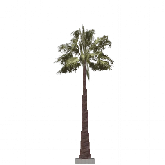 Объект: Пальма 2 - №80109