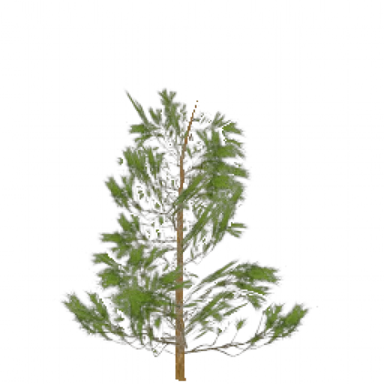 Объект: Дерево 3 - №80201