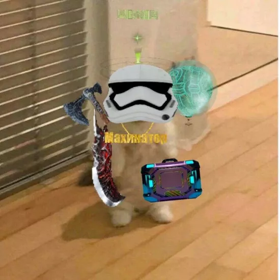 IMG_20240830_170116_870_1725074531_id_79489 - №79490