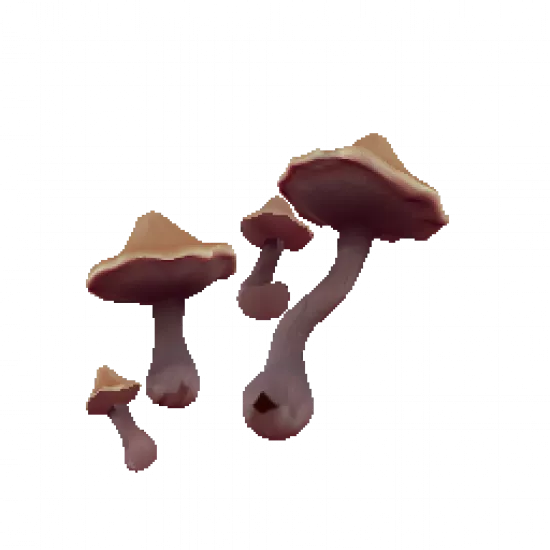 Грибы на спину - №82053