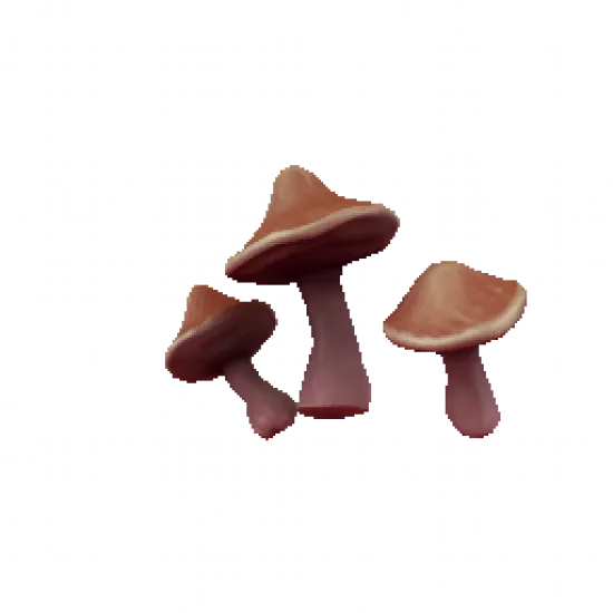 Грибы на плечи - №82061