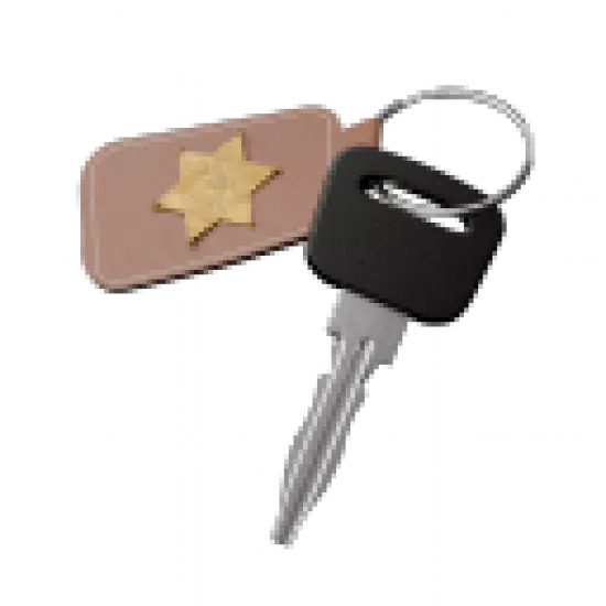 Ключи от полицейской машины - №82024