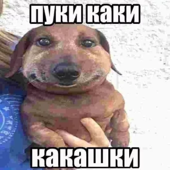 Avatar Vladimir_Voronin