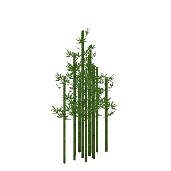 Объект: Бамбуковые заросли - №85302