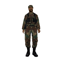 Скин: Армейский пончик (ID: 964) - №85233