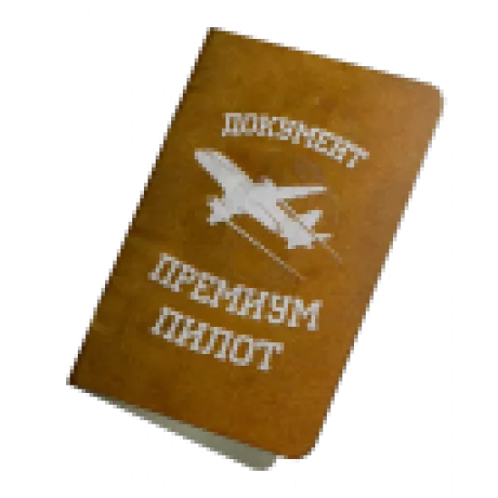 item_flydoc_premium_1755459032_id_84501 - №86913